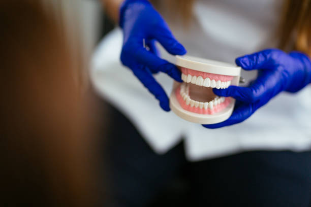 Spirit Lake, IA Holistic Dental Care Services Company